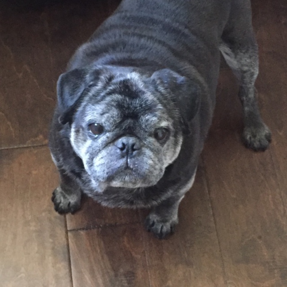 Meet your Posher, Karyn